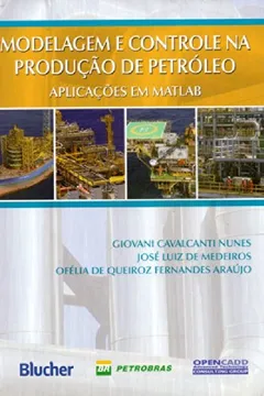 Livro Modelagem e Controle da Produção de Petróleo - Resumo, Resenha, PDF, etc.