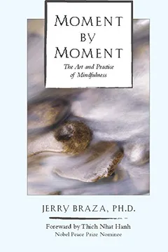 Livro Moment by Moment - Resumo, Resenha, PDF, etc.