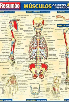 Livro Músculos Origens e Inserções - Resumo, Resenha, PDF, etc.