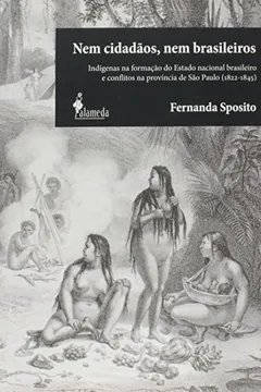 Livro Nem Cidadaos, Nem Brasileiros - Indigenas Na Formacao Do Estado Nacion - Resumo, Resenha, PDF, etc.