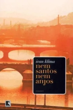 Livro Nem Santos Nem Anjos - Resumo, Resenha, PDF, etc.
