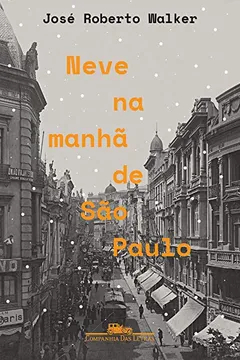 Livro Neve na Manhã de São Paulo - Resumo, Resenha, PDF, etc.