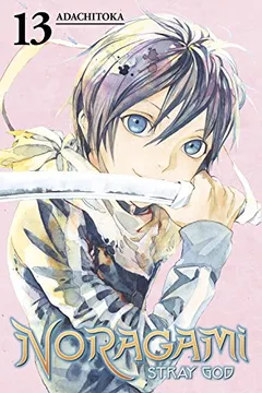 Livro Noragami: Stray God, Volume 13 - Resumo, Resenha, PDF, etc.