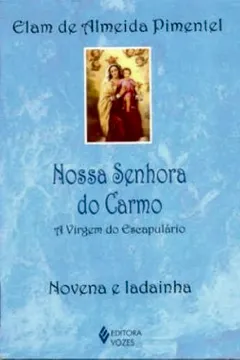 Livro Nossa Senhora do Carmo - Resumo, Resenha, PDF, etc.