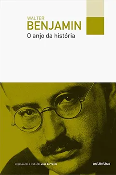 Livro O Anjo da História - Resumo, Resenha, PDF, etc.