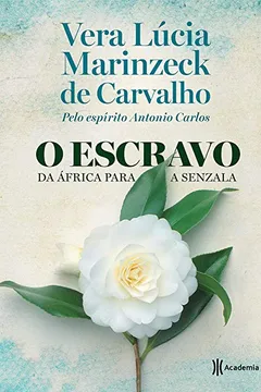 Livro O Escravo. Da África Para a Senzala - Resumo, Resenha, PDF, etc.