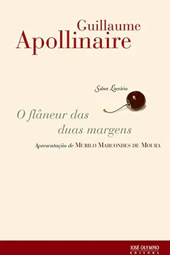 Livro O Flâneur das Duas Margens - Resumo, Resenha, PDF, etc.