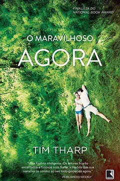 Livro O Maravilhoso Agora - Resumo, Resenha, PDF, etc.