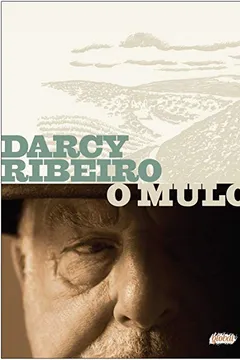 Livro O Mulo - Resumo, Resenha, PDF, etc.