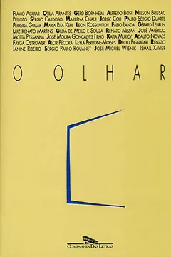 Livro O Olhar - Resumo, Resenha, PDF, etc.