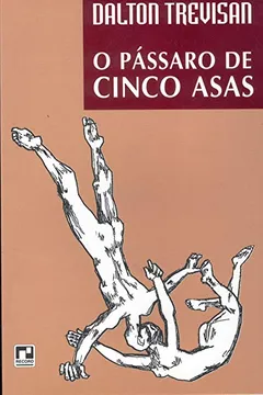 Livro O Pássaro de Cinco Asas - Resumo, Resenha, PDF, etc.