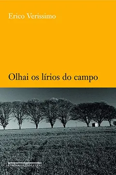 Livro Olhai Os Lírios do Campo - Resumo, Resenha, PDF, etc.