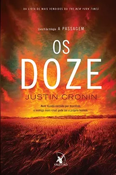 Livro Os Doze - Resumo, Resenha, PDF, etc.