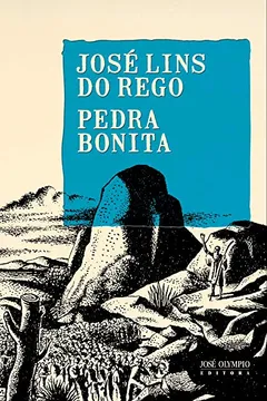 Livro Pedra Bonita - Resumo, Resenha, PDF, etc.