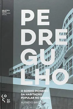 Livro Pedregulho - Resumo, Resenha, PDF, etc.