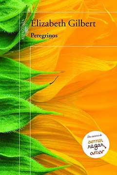 Livro Peregrinos - Resumo, Resenha, PDF, etc.