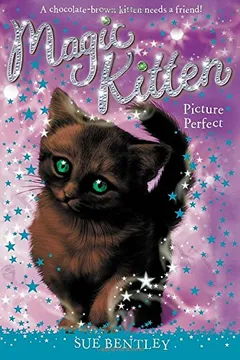 Livro Picture Perfect - Resumo, Resenha, PDF, etc.