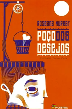 Livro Poço dos Desejos - Resumo, Resenha, PDF, etc.