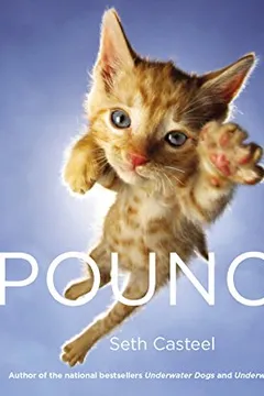 Livro Pounce - Resumo, Resenha, PDF, etc.