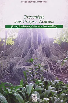 Livro Presenteie Seus Orixas E Ecuruns - Resumo, Resenha, PDF, etc.
