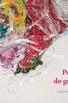 Capa do livro Pulo do Gato