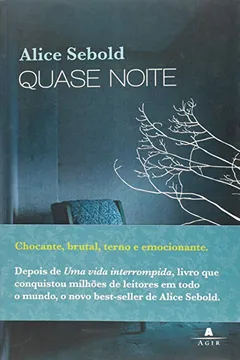 Livro Quase Noite - Resumo, Resenha, PDF, etc.