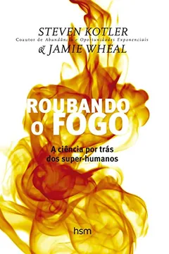 Livro Roubando o Fogo - Resumo, Resenha, PDF, etc.