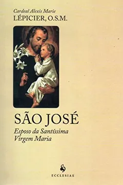 Livro São José. Esposo da Santíssima Virgem Maria - Resumo, Resenha, PDF, etc.