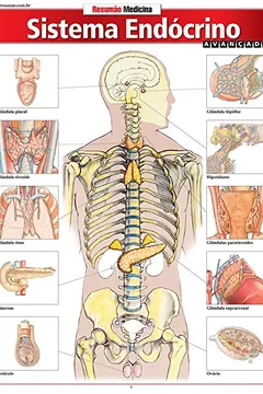 Livro Sistema Endócrino. Avançado - Resumo, Resenha, PDF, etc.