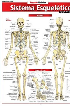 Livro Sistema Esquelético. Avançado - Resumo, Resenha, PDF, etc.