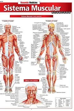 Livro Sistema Muscular. Avançado - Resumo, Resenha, PDF, etc.