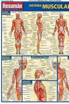 Livro Sistema Muscular - Resumo, Resenha, PDF, etc.