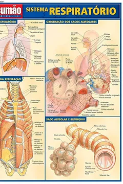 Livro Sistema Respiratório - Resumo, Resenha, PDF, etc.