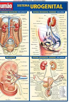 Livro Sistema Urogenital - Resumo, Resenha, PDF, etc.