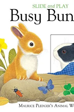 Capa do livro Slide & Play: Busy Bunny