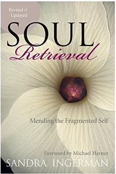 Livro Soul Retrieval: Mending the Fragmented Self - Resumo, Resenha, PDF, etc.