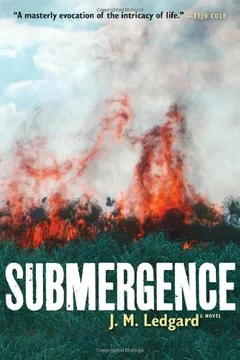 Livro Submergence - Resumo, Resenha, PDF, etc.