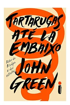 Livro Tartarugas Até Lá Embaixo - Resumo, Resenha, PDF, etc.