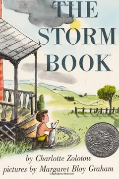 Livro The Storm Book - Resumo, Resenha, PDF, etc.