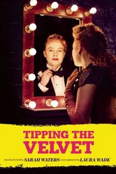 Livro Tipping the Velvet - Resumo, Resenha, PDF, etc.