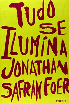 Livro Tudo Se Ilumina - Resumo, Resenha, PDF, etc.