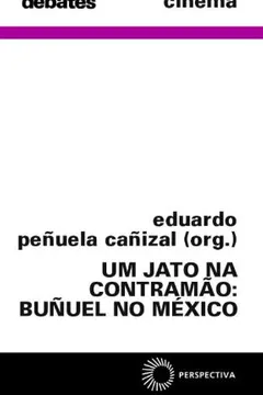 Livro Um Jato na Contramão - Resumo, Resenha, PDF, etc.