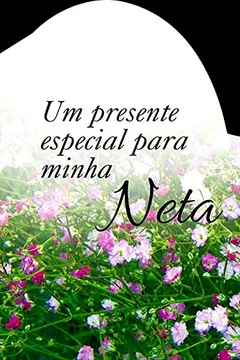 Livro Um Presente Especial Para minha Neta - Resumo, Resenha, PDF, etc.