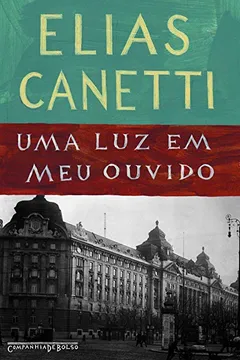 Livro Uma Luz em Meu Ouvido - Resumo, Resenha, PDF, etc.