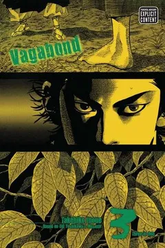 Livro Vagabond, Volume 3 - Resumo, Resenha, PDF, etc.