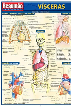 Livro Vísceras - Resumo, Resenha, PDF, etc.